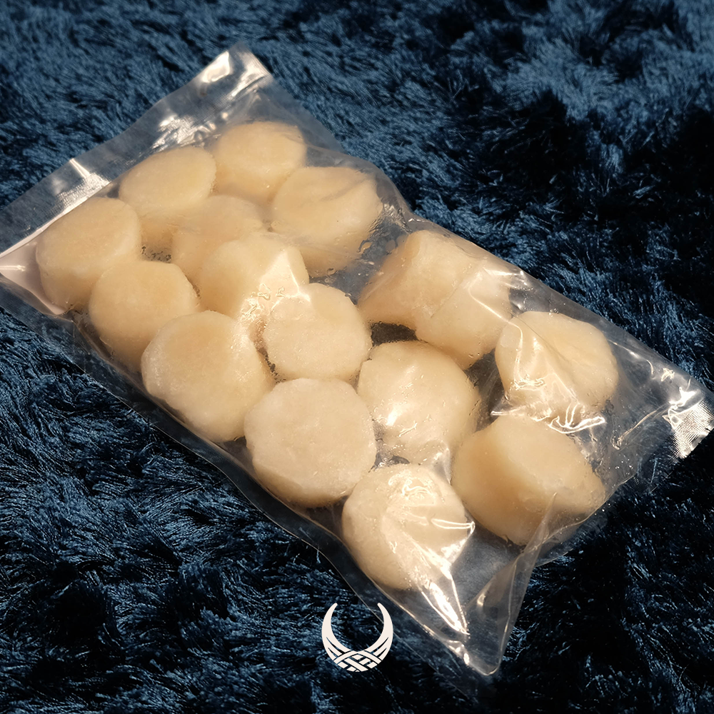 Japanese Scallops